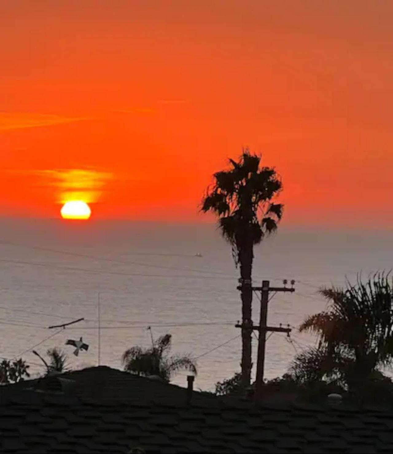 Contemporary Ocean Sunset Views With Firepit Pt Loma Close To Plnu San Diego Buitenkant foto